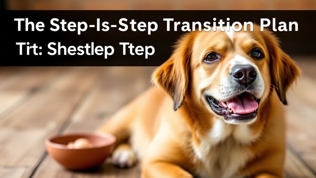The Step by Step Transition Plan